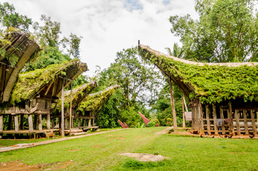 Rantepao ceremony burial Indonesia Toraja