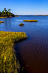 Coastal Saltwater Tidal Marsh in the Croatan National Forest, North Carolina