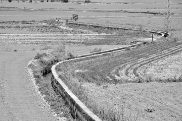 Acequia sinuosa por la vega de Granada en blanco y negro