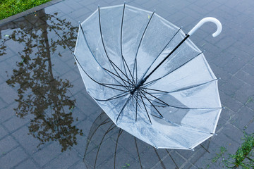 transparent Umbrella in the puddle with reflection in the water after the rain. Rainy weather at spring