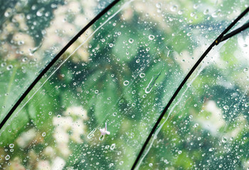 Close up Transparent Umbrella with water drops during the rain with green leaves tree on the blur...