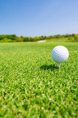 ゴルフボール ティーアップ
