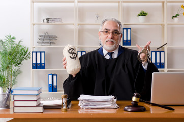 Aged lawyer working in the courthouse  