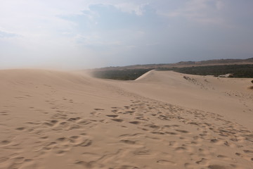 beautiful white sand dune on sunset background