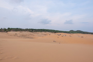 beautiful red sand dunes on sunset