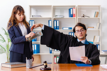 Young woman visiting male lawyer 