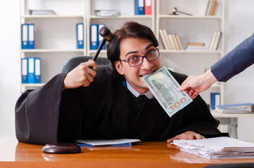 Young woman visiting male lawyer 