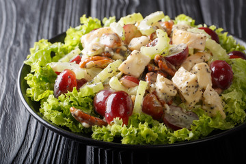 Recipe for delicious Sonoma salad with chicken breast, celery, pecans and grapes covered with sauce...