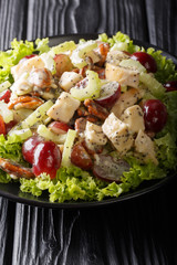 Delicious fresh Sonoma salad with chicken, celery, pecans and grapes close-up on a plate. vertical