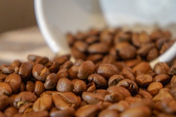 Taken in beautiful light, scattered coffee beans from a fallen pot.  Un-ground freshly roasted coffee beans.  Rich brown and subtle whites.