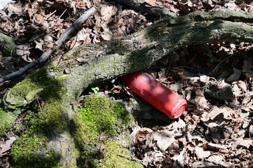 Red plastic bandas thrown at the root of the tree.