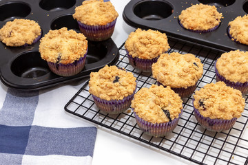Blueberry Apple Oats streusel Muffins on cooling rack. Selective focus. Copy space for text. Healthy breakfast concept