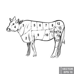 Cow. Milk. natural product. Household. Bright modern design.