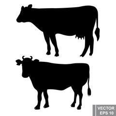 Cow. Milk. natural product. Household. Bright modern design.