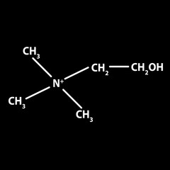 Vitamin B4. Choline Molecular chemical formula. Infographics. Vector illustration on black background