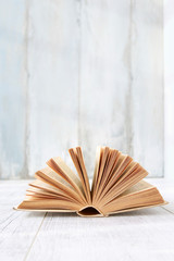 Open book, copy space.