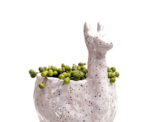 Alpaca planter with string of pearls closeup