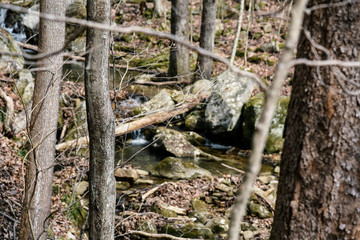 Frozen Head State Park in Central Tennessee