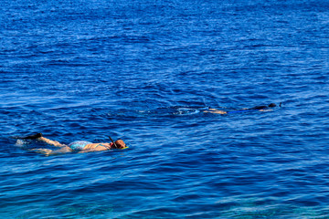 Group of people snorkeling over the coral reef in the Red Sea