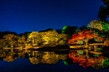 Naklejka premium Tokyo, Japan - December 5, 2017: illumination at Japanese garden in autumn color