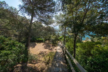 The road of Ronda by Tossa de Mar
