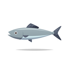 Fish vector isolated illustration