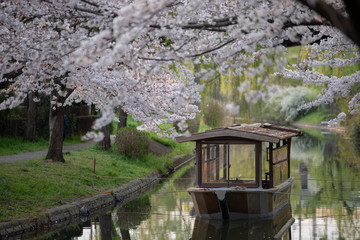 京都伏見　十石舟