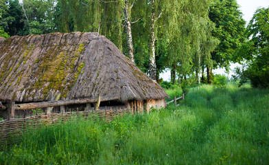 Fototapeta na wymiar Old wooden shed with straw-thatched roof.