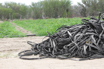 Pile of abandoned tapes for drip irrigation deteriorated, ready to be discarded.