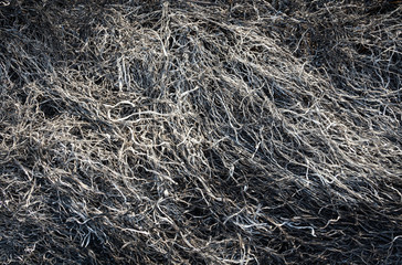 Burnt grass