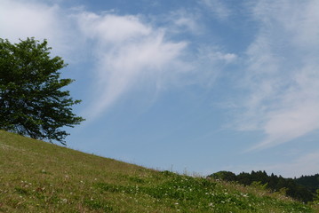 牧場と空