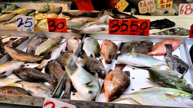 Array of fresh living seafood fish with description and price, for sale in Hong Kong wet morning market stall