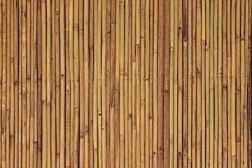 texture of bamboo