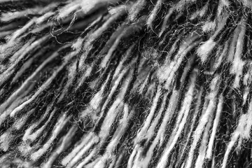 Black and white wool thread as abstract background
