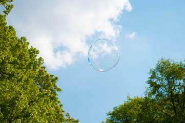 one round soap bubble on the blue sky, with trees in the background
