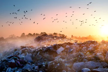 Sonnenaufgangssonne über dem Müllmeer © panaramka