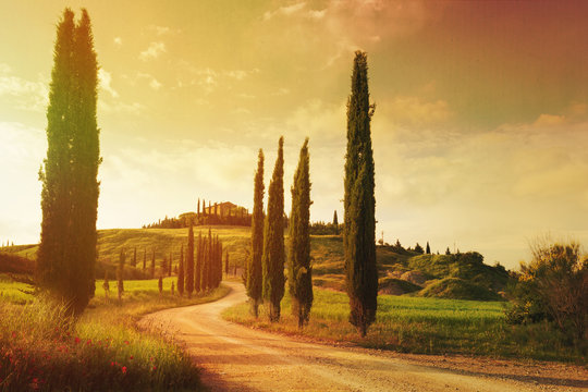 Art Vintage Tuscany Countryside Landscape