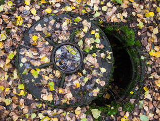 Open manhole covered with autumn leaves.