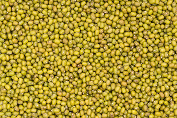Full frame of raw green mung beans for background