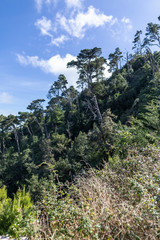 Mountain slope in the Anaga Natural Park in Tenerife