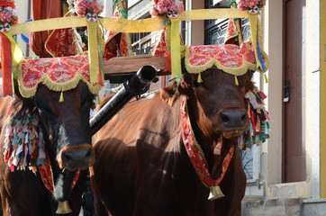 The tradition and Folk of Sardinia