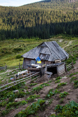 Shepherds' house in the Ukrainian Carpathians