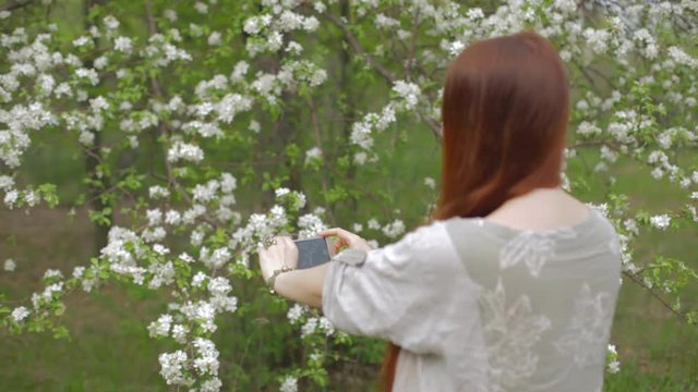 lifestyle woman with red hair photographing flowers of an apple tree in the garden.