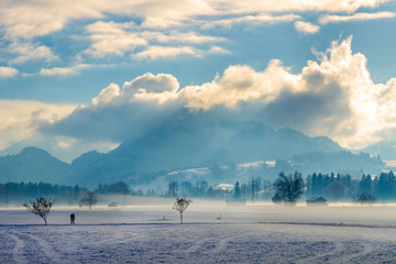 Naklejka premium Allgäu - Winter - Stadel - Kälte - Schnee