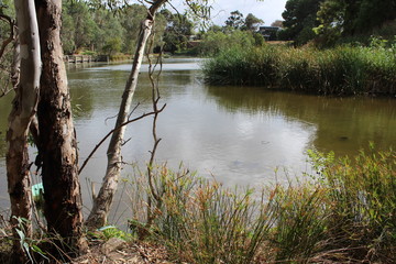 St. Peters Billabong, adelaide, australia