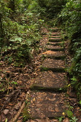 Hiking track in Bosque Nuboso NP near Santa Elena in Costa Rica