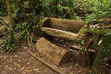 Wooden bench in Bosque Nuboso NP near Santa Elena in Costa Rica