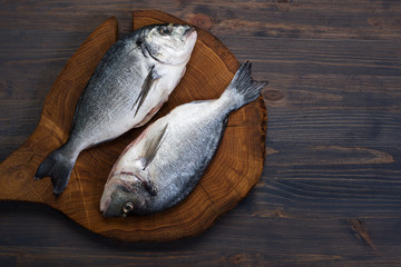 Dorado fish on a brown wooden board on a gray wooden background. Place for text