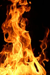 Fototapeta premium Closeup of a large fire. Wooden planks to the fire. The fire is lit in the night.