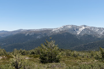 Fototapeta na wymiar View of high mountain from the port of Cotos. Natural Park of the Sierra de Guadarrama, Madrid, Spain
